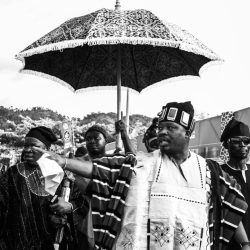 created by photogrid